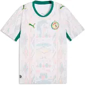 Puma Maillot 'Senegal 2026' bleu ciel / vert gazon / rose / blanc