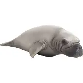 MOJO Vache marine