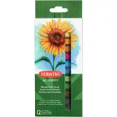 Derwent Peinture pastel Soft Pastels Multicolore, 12 pièces (12x)