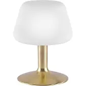Paul Neuhaus Till lampe de table laiton mat 1xG9 3W 3000K luminaire intérieur IP20