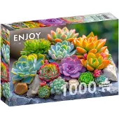 Enjoy Puzzle Puzzle 1000 pièces Enjoy – Succulentes