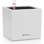Lechuza CANTO Stone 14 all in one blanc quartz (14 x 14 x 13.50 cm)