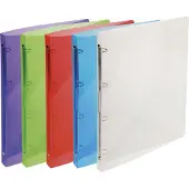 Exacompta Ringbuch (A4, 30 pcs)
