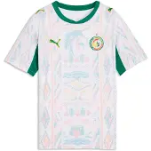 Puma T-Shirt fonctionnel 'Senegal 2026' jaune / vert / rouge / blanc