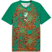 Puma Maillot 'Elfenbeinküste' brun foncé / vert / orange / blanc