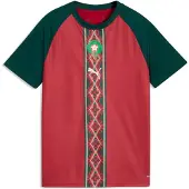 Puma T-Shirt fonctionnel 'Marokko' écru / vert foncé / rouge foncé