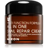 Mizon Multi Function Formula Snail crème régénérante à la bave d'escargot filtrée 92% 120 ml