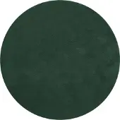 TecTake Tapis rond Soft Zone Ø 120 cm – Vert – Ultra-doux et lavable