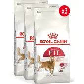 Royal Canin Fit 32 - 3 x 4 kg