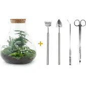 Urbanjngl Terrarium Diy - Sam Xl - 35 Cm
