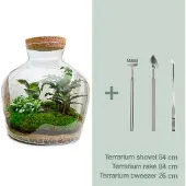 Urbanjngl Terrarium Diy - Fat Joe - 30 Cm