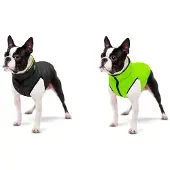 Collar Pet Airyvest Dog Jacket Vert S30