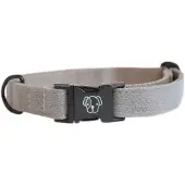 Kentucky Collier De Chien Lizard