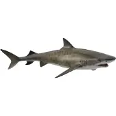 Collecta Figurine de requin tigre peinte à la main de L