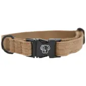 Kentucky Collier De Chien Lizard