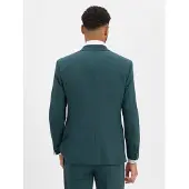 Strellson Veste de costume sapin