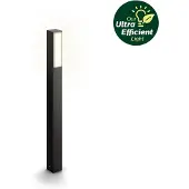 Philips Stratosphère Borne Ultra Efficace LED 3,8W 800lm Anthracite