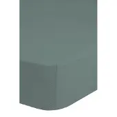 Bonjour Drap-housse Jersey 70x140/150 cm Vert brumeux
