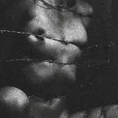 Suburban Clavicvla - Degeneracy Of The 5th Density [Compact Discs]