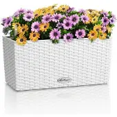 Lechuza BALCONERA Cottage 40 Weiss (19 x 40 x 19 cm)