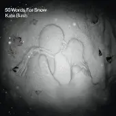 Import 50 Words For Snow