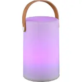 TRIO Lampe de table Aruba