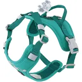 Hurtta Weekend Warrior Eco Harness 2 - Peacock - 75-100 cm
