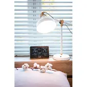 Adler Ad 1175 Weather Station Noir