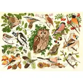The House of Puzzles Puzzle Woodland Birds 500 XL Teile Karton
