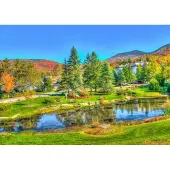 Bluebird Puzzle Puzzle Stowe, Vermont, USA - 1000 pièces