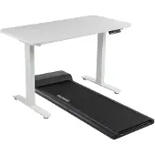 Darwin Fitness Set Darwin Walking Pad