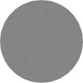 vidaXL Toile de fond de piscine Gris clair Ø244 cm Polyester Géotextile