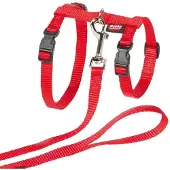 Nobby Garniture pour chats XL (XL, Chat)