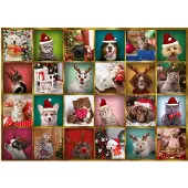 Trefl Calendrier de l'Avent « Animaux » - Jouets surprise, 42 pièces