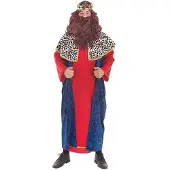 Creaciones Llopis Costume De Roi Magicien