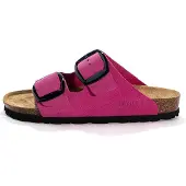 Bayton Mule rose