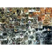 Puzzles DToy Puzzle Collage - Chats - 1000 pièces