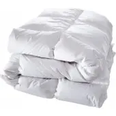 TODAY Couette d'hiver Essential, 240 x 220 cm