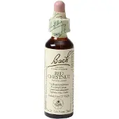 Bach Elixirs Flower Alezan brûlé 20 ml