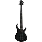 Sire Marcus Miller M2-5 Tbk Rn
