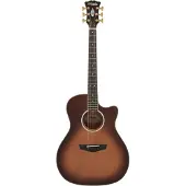 D'angelico Gramercy Auntumn Burst