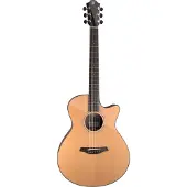 Furch Yellow Gc-CR a Grand Auditorium guitare électro-acoustique folk avec étui