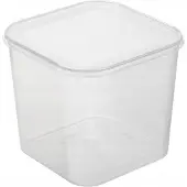 PLAST TEAM Vertriebs GmbH plast team 15130800 plast team Boîte de congélation Helsinki, 4,6 litres, carrée