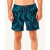 Rip Curl Sessions Swimming Shorts Bleu XL Homme