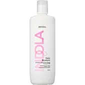 Indola Care & Style Color Shampoing 1000 ml