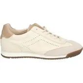 Gabor Baskets basses crème / beige foncé / gris clair