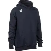 Arena Sweatshirt à capuche Team Panel