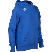 Arena Sweatshirt à capuche enfant Team Panel