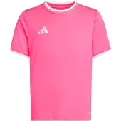 Adidas T-Shirt fonctionnel 'Entrada26' rose