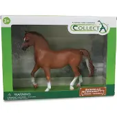 Collecta Set cadeau - Chevaux